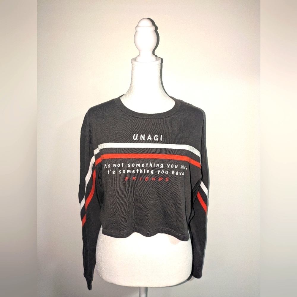 Friends Crop top